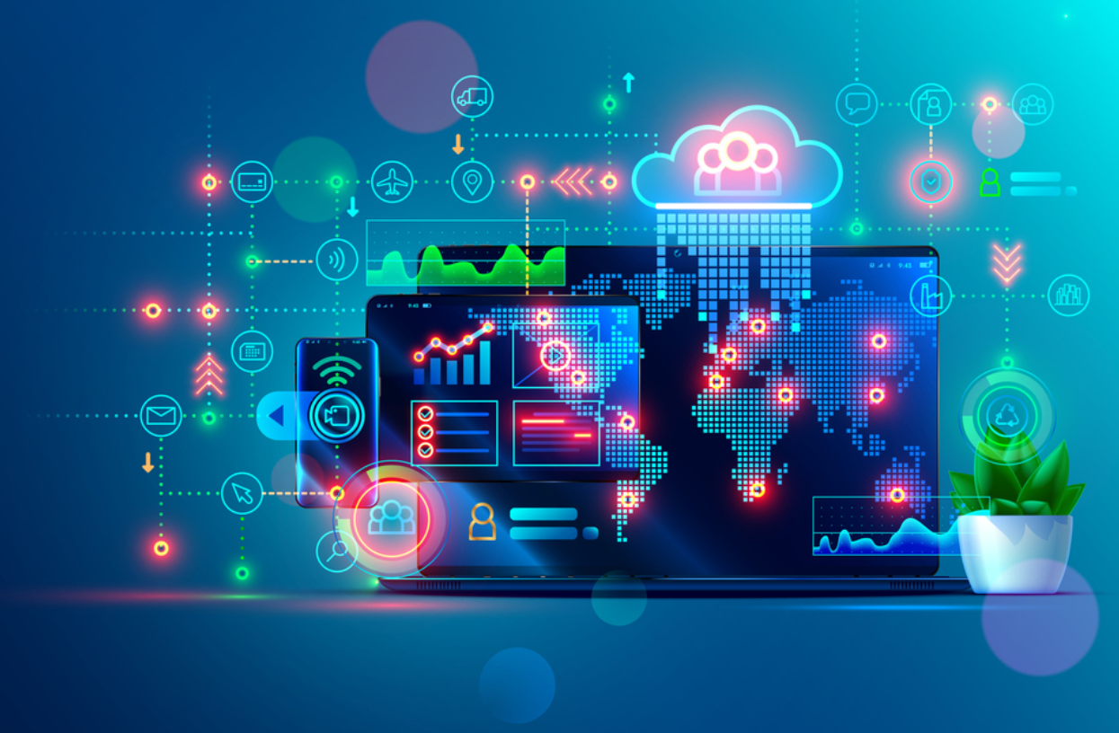 Web Design vs. Web Development: Understand the Difference and Choose What You Need