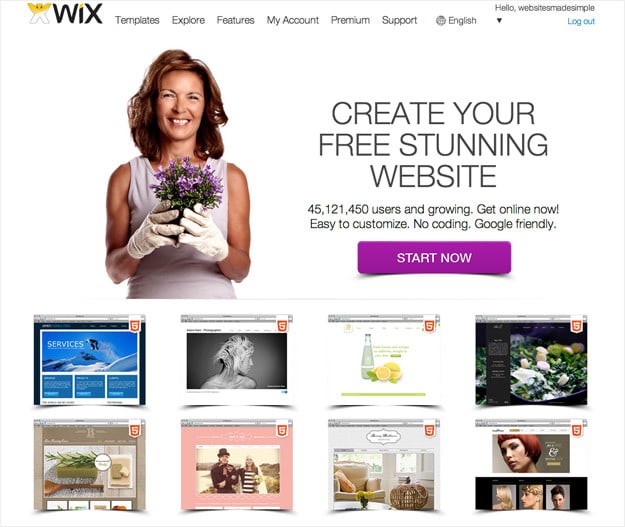 Wix guide by Ravens Digital to build, customize, and grow professional websites