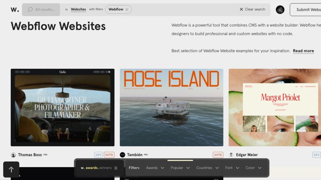Professional Webflow website development by Ravens Digital