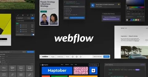 Scalable Webflow website design by Ravens Digital